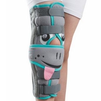 Immobilisateur de genou